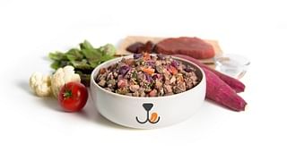 beef and sweet potato premium dog food from Furry’s Kitchen