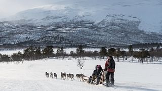 dog-pulled sled in a snowy landscape with a snow-capped mountain backdrop