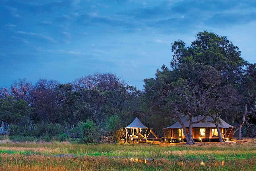 Tented camps are built on islands in the wetlands.