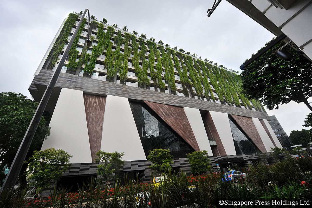 G13 - The School Of The Arts (SOTA) has a curtain of greenery overhanging its exterior walls