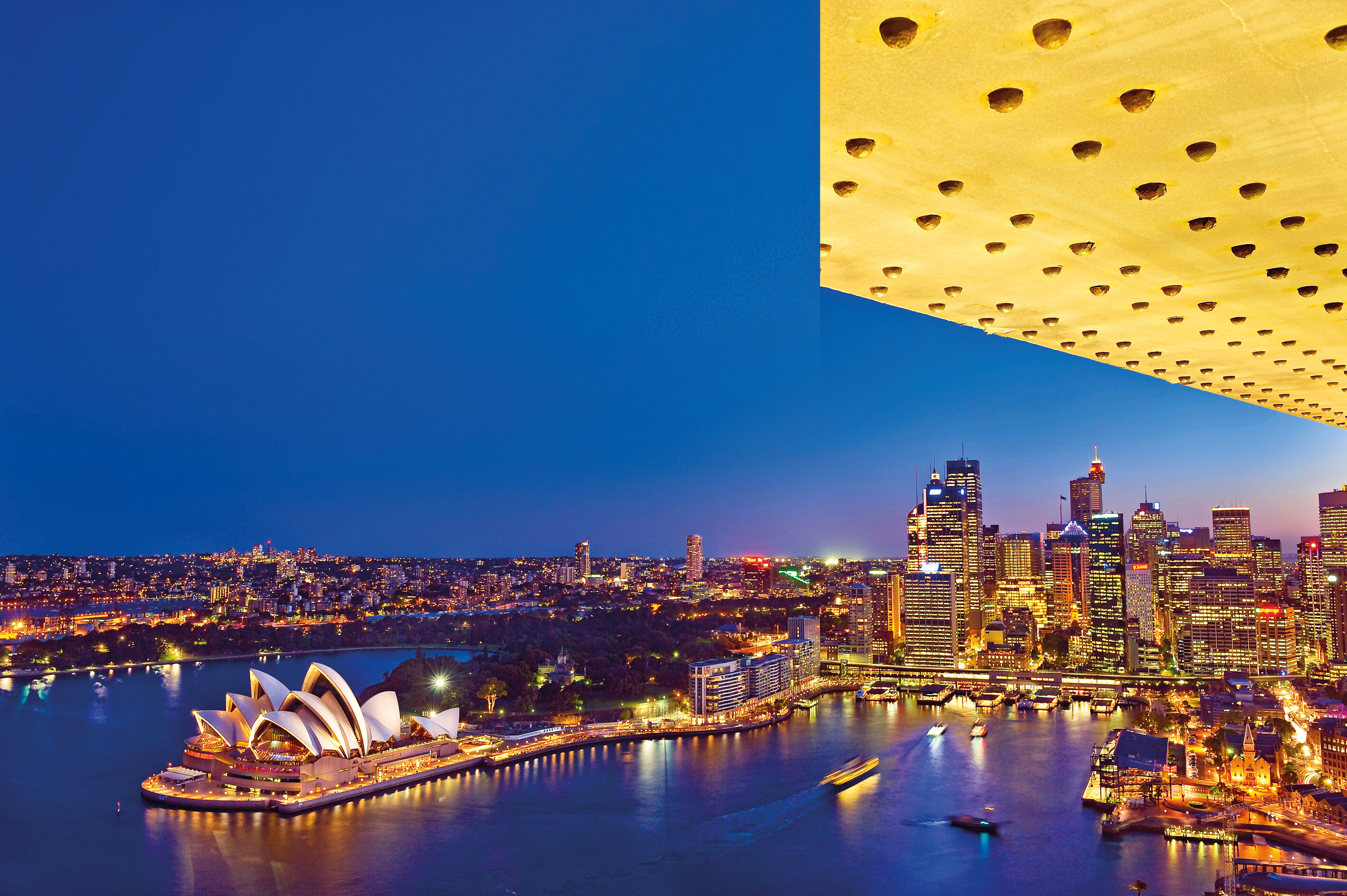 Sydney Opera house and cityscape