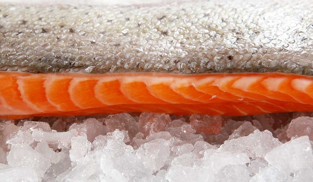 chile salmon industry 2017