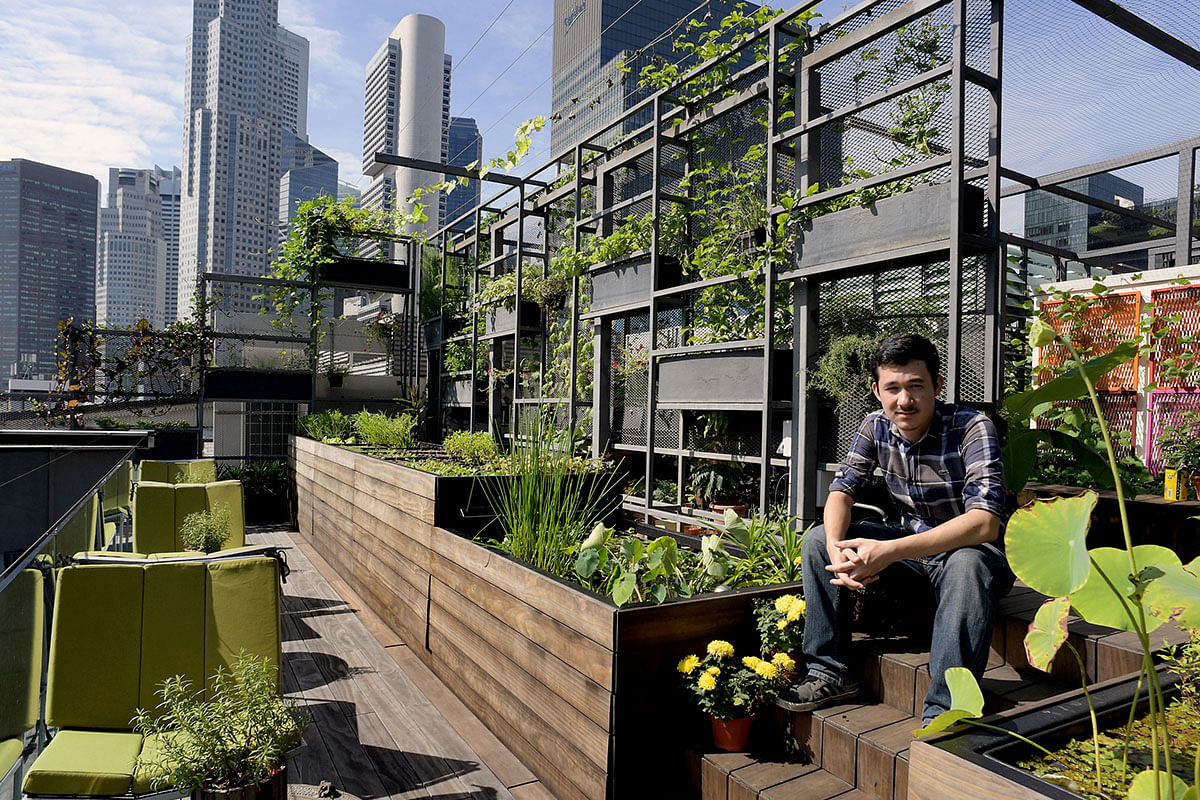 Urban Farming in Singapore - Woha