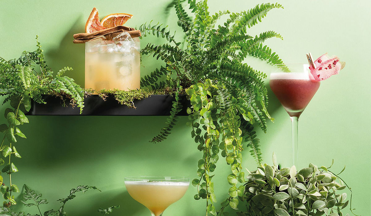 Skai's Rainforest cocktails consisting of The Shaman, Camu Camu and Butterfly Effect