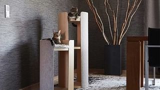 luxury furniture for cats in singapore