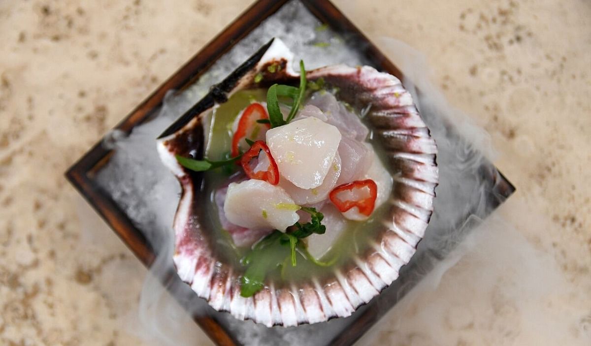 Nikkei ceviche with scallop and flounder
