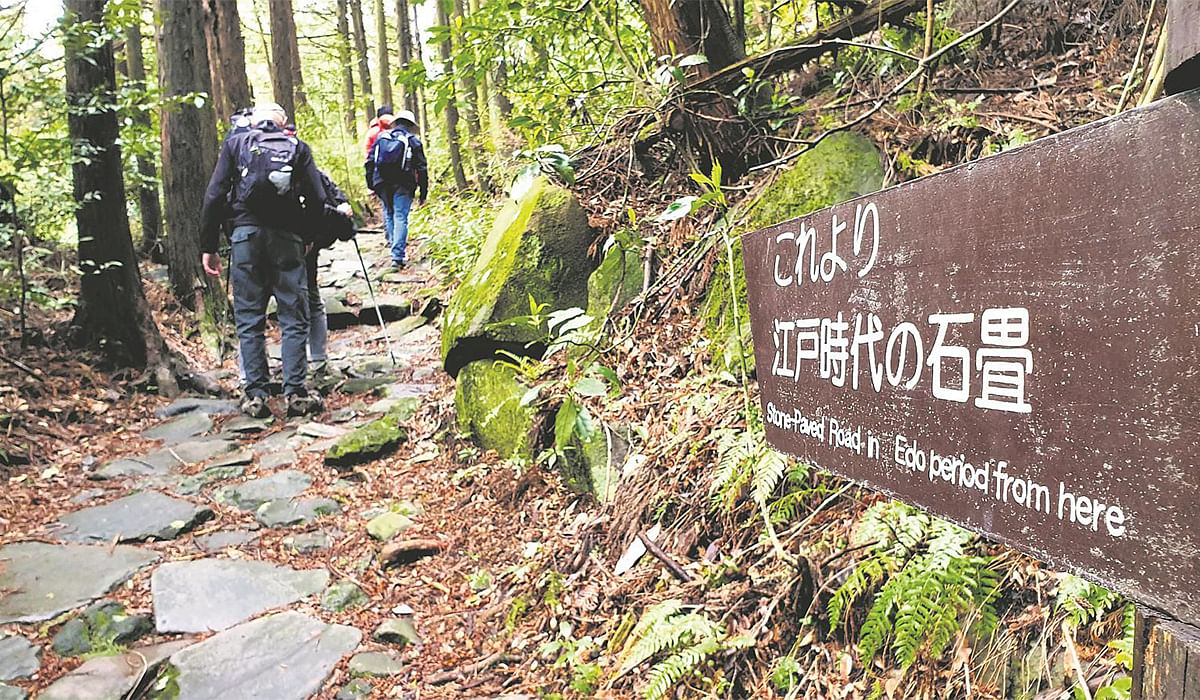 Tokaido Trail