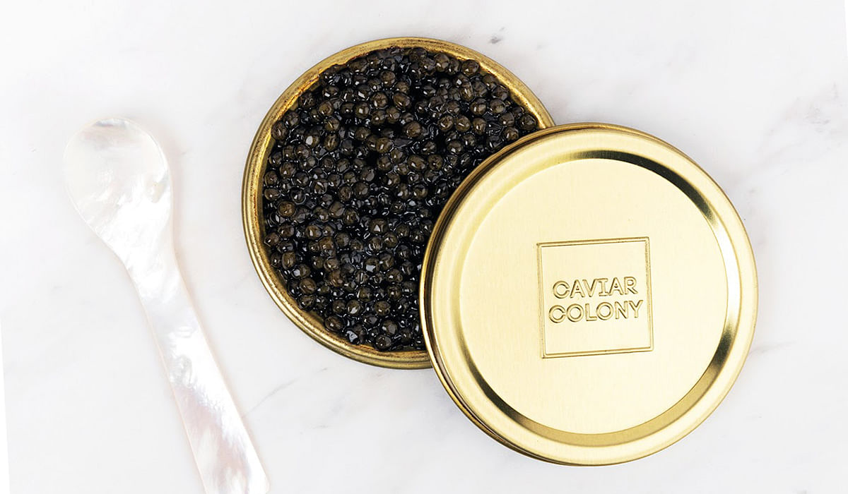 Caviar Colony
