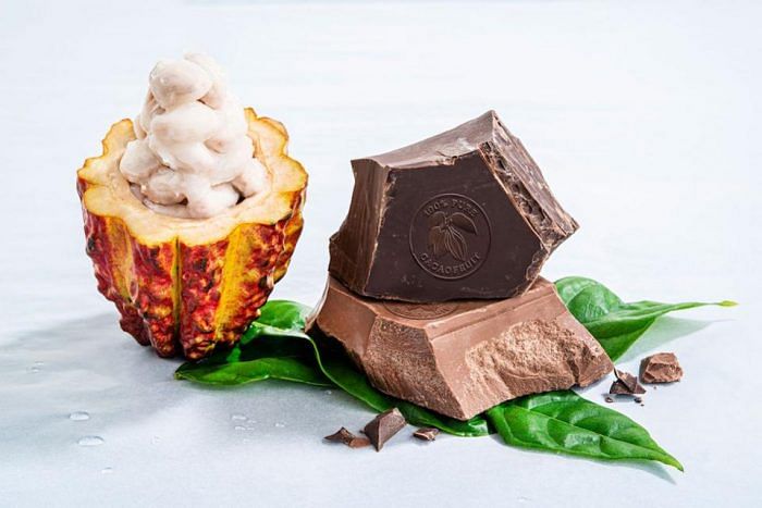Barry Callebaut Cacaofruit experience