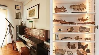 Fossil Collector home