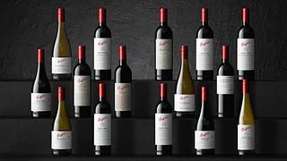 Penfolds 2019 Collection
