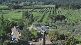david-price-home-provence-surrounding-olive-groves
