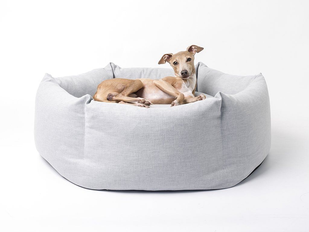 squishy dog beds