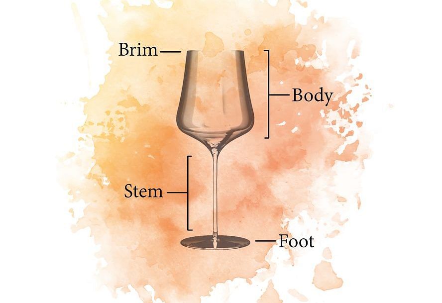 parts of a wine glass