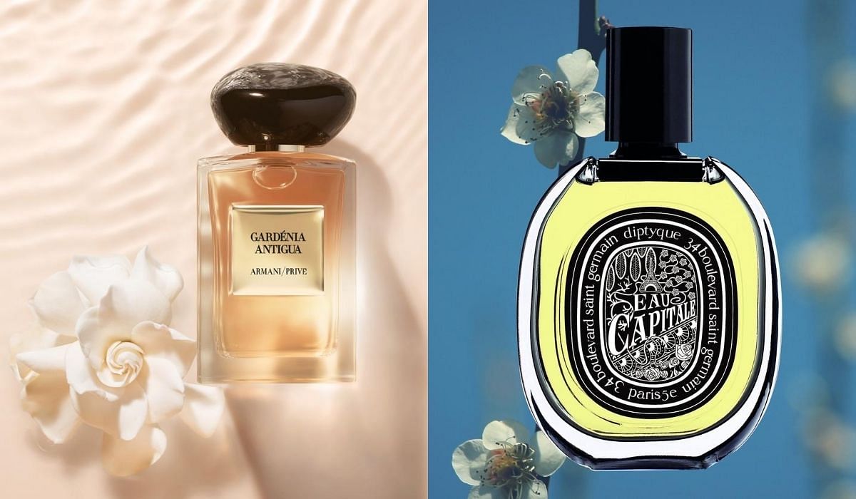 Summer Fragrances to Check Out