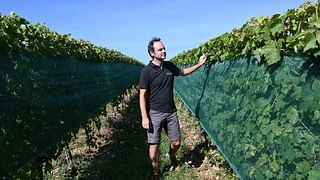 Bertrand Chatelet, French director of SICAREX Beaujolais