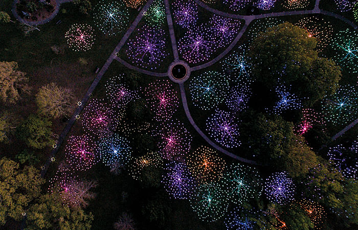 Field of Light at Brookgreen Gardens, South Carolina.