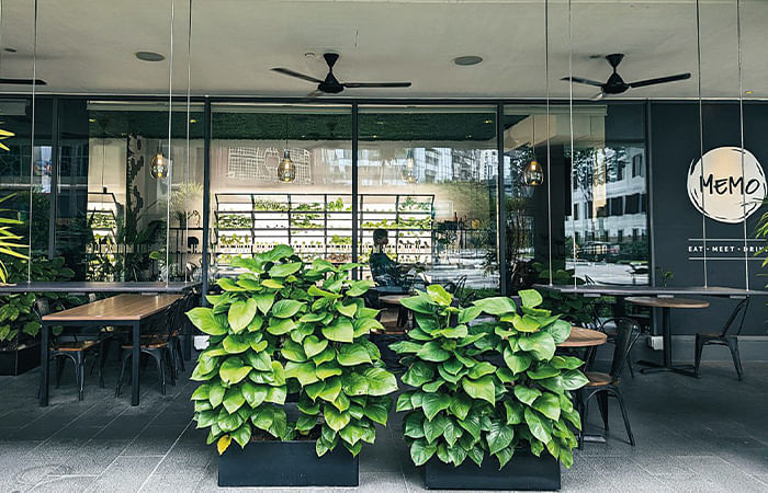 Memo Café installed Grobrix, a soil-less indoor farming system.