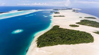 sotheby auction island archipelago indonesia widi sustainability ecosystem