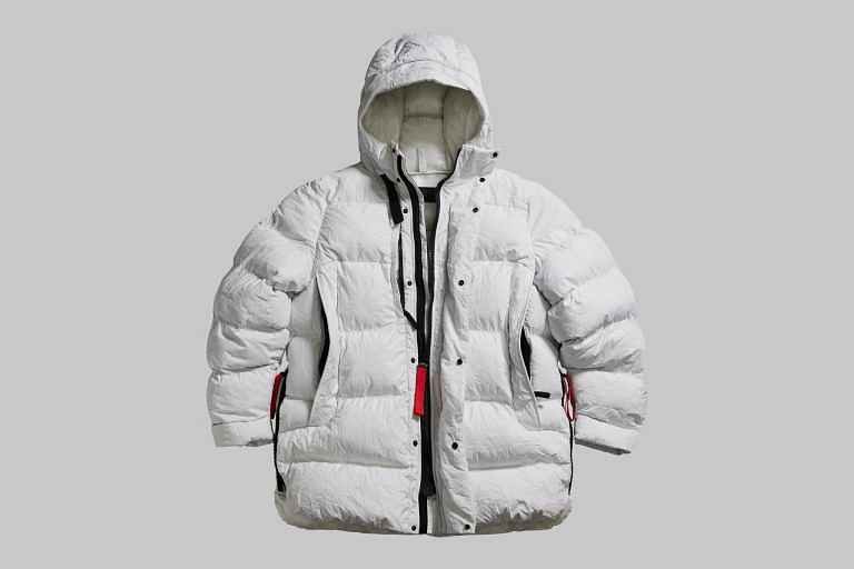 Nasa on sale down jacket