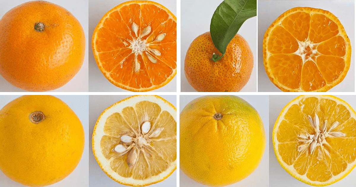 What's in Season: Mandarin Oranges