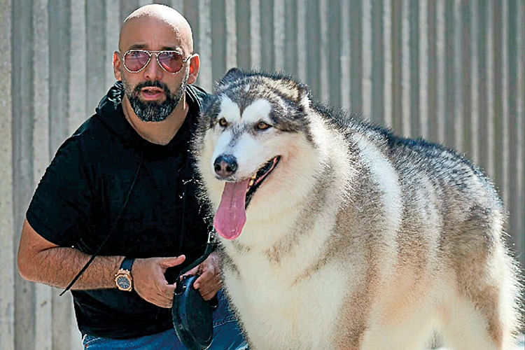 Eli Atias, veteran dog trainer turned pet service entrepreneur
